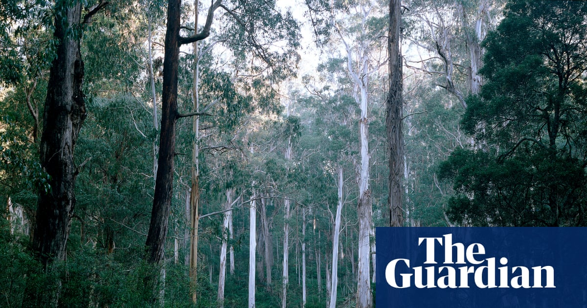 Will Labor’s environment laws actually address Australia’s biodiversity crisis? Five reasons to be concerned | Australian politics Will Labor’s environment laws actually address Australia’s biodiversity crisis? Five reasons to be concerned | Australian politics