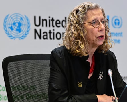 Inger Andersen, UN Environment Programme chief, speaks into a microphone at a press conference