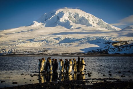 Penguins in Antarctica