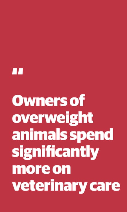 Quote: “Owners of overweight animals spend significantly more on veterinary care”