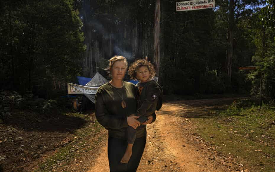 Last of the large trees: a day at the Errinundra forest blockade | Environmental activism 1 6475