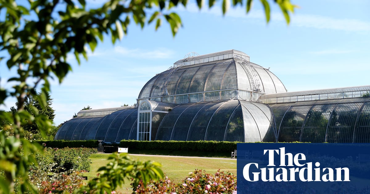 Kew Gardens secures a multimillion-pound climate change investment