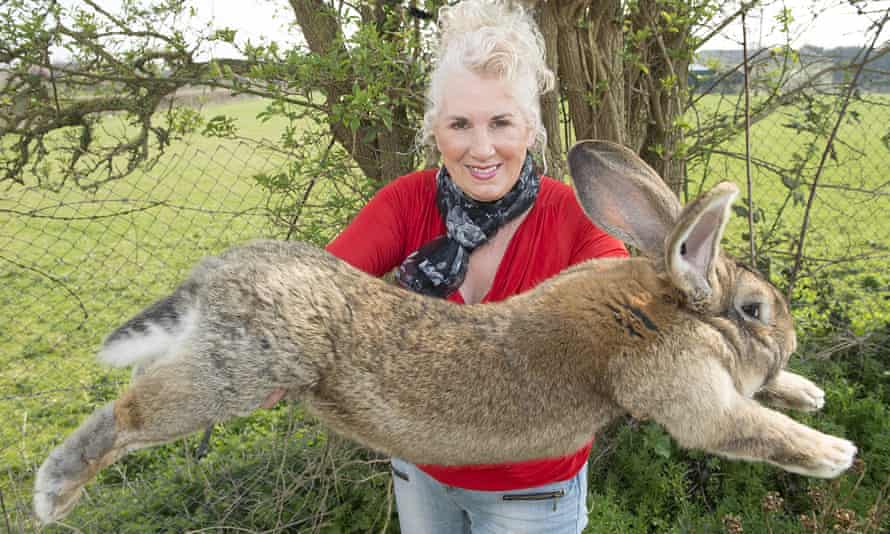 Woman standing in a field and smiling while holding a ridiculously enormous rabbit