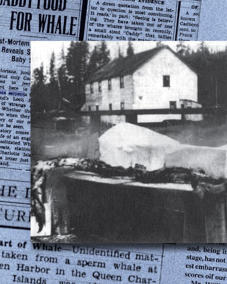 Image of the Naden Harbor whale carcass from 1937, with newspaper reports at the time in the background.