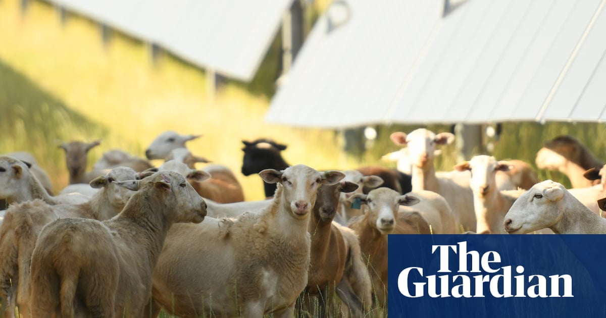 Solar energy helps US farms stay afloat – but Republicans’ bill could change that