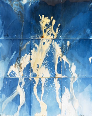 Adaptive Radiation #1, 2025 (Upwelling: Forms of Life show)series State Shift, 2024–2026, Upwelling, considers the complex nature of our relationships to the landscape, the sublime, time, and impermanence. An Upwelling is both an essential oceanic process that renews ecosystems, and a term used to describe a growing emotional or political momentum.