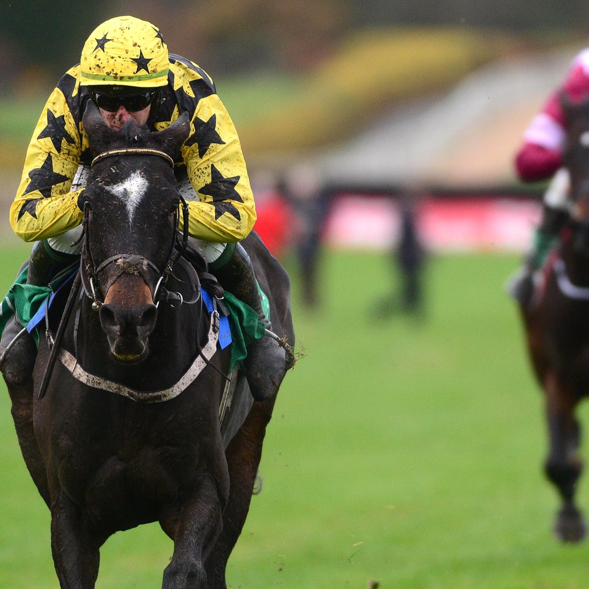What Does Place Mean In Horse Racing What Does Place Mean In Horse Racing