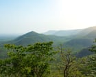 The whitewashing of the Green India Mission forest expansion initiative