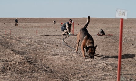 Dog and handler between two stakes on arid ground