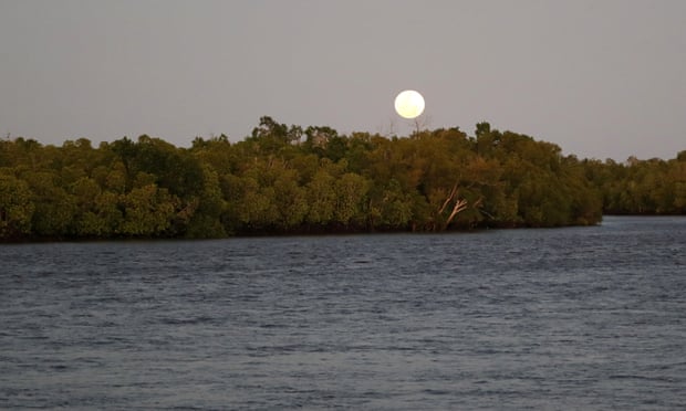 The moon shines over mangrove trees at Vanga, Kenya on Tuesday, June 14, 2022. Several mangrove forests across Africa have been destroyed due to coastal development, logging or fish farming, making coastal communities more vulnerable to flooding and rising sea levels. (AP Photo/Brian Inganga)
