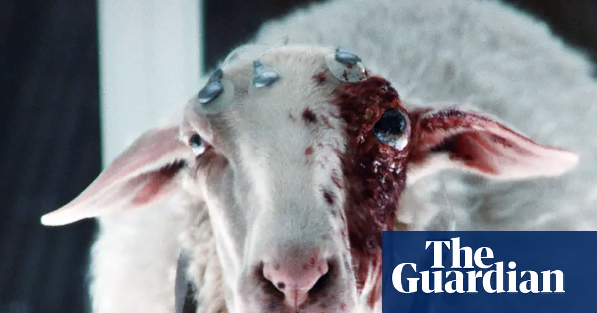 The most evil TV villain ever? Alien: Earth’s ‘demon sheep eye’ is a work of true genius