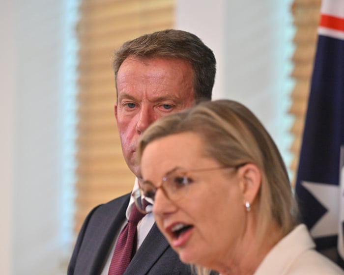 Factchecking five Coalition claims about net zero, from power prices to the $9tn cost