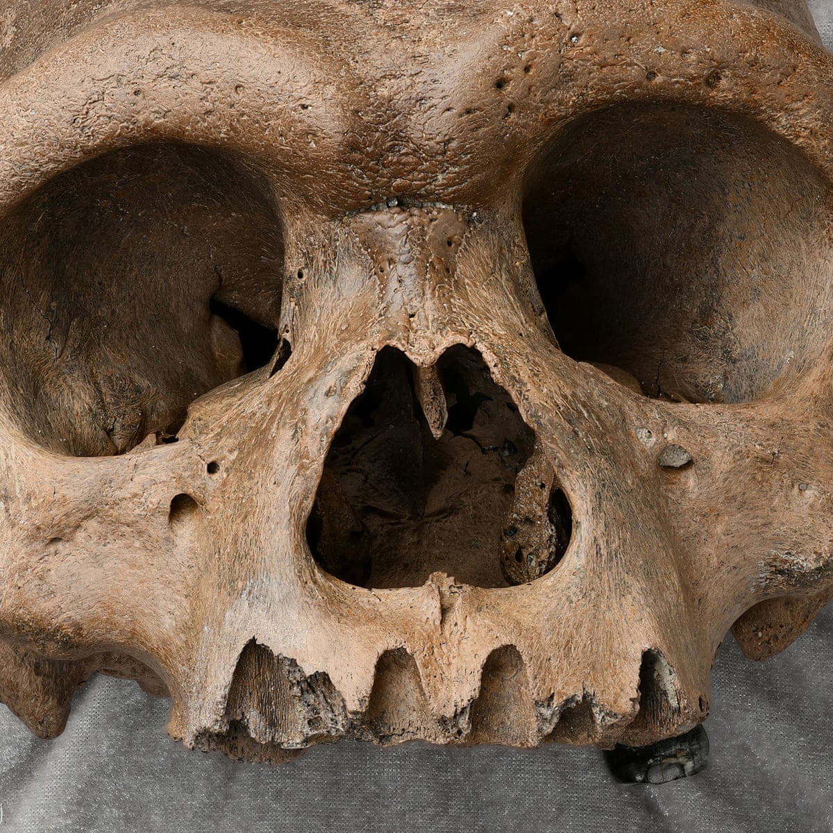 Massive Human Head In Chinese Well Forces Scientists To Rethink Evolution Anthropology The Guardian Massive Human Head In Chinese Well Forces Scientists To Rethink Evolution Anthropology The Guardian
