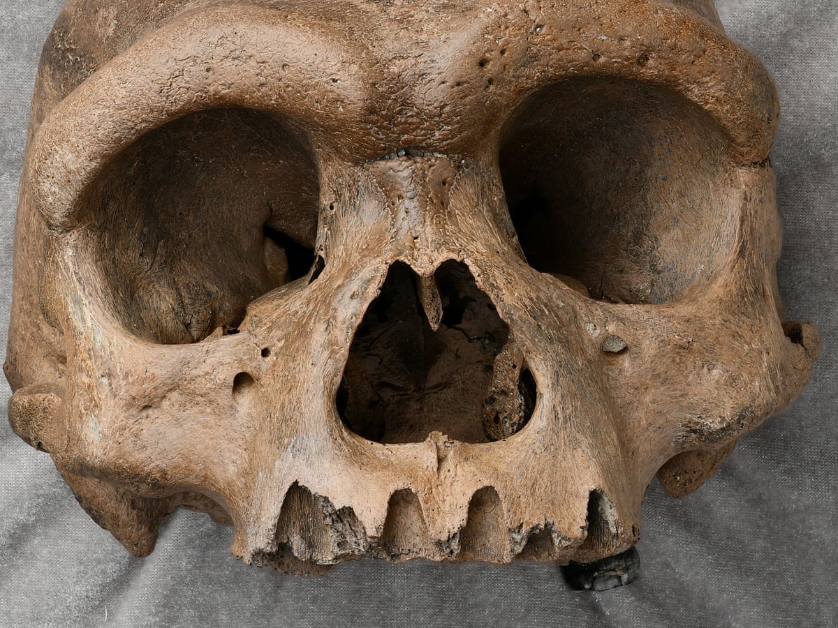 Massive human head in Chinese well forces scientists to rethink ...