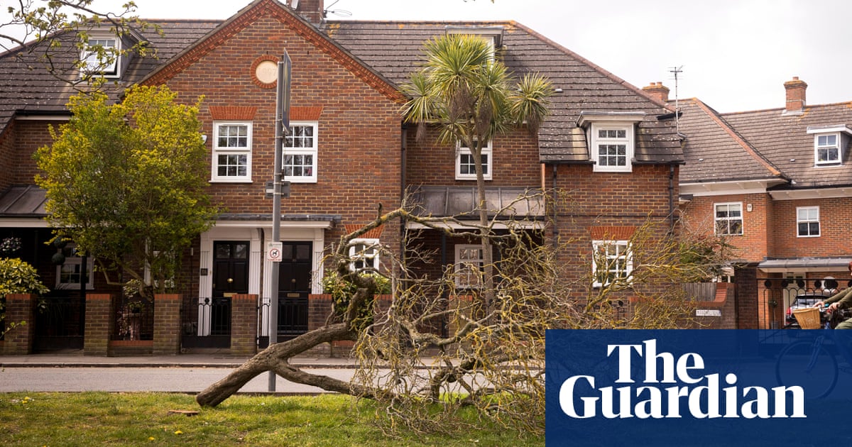 Man, 24, arrested over mass tree felling in Surrey
