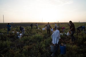 Farmworkers