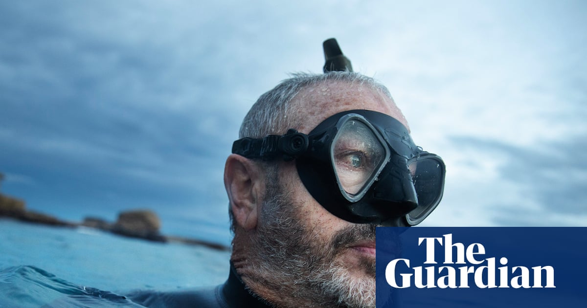 サメに噛まれた事件はオーストラリアの海洋愛好家を不安にさせている。人々は自分が成長している理由を知りたいと考えています サメに噛まれた事件はオーストラリアの海洋愛好家を不安にさせている。人々は自分が成長している理由を知りたいと考えています