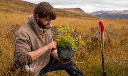 A volunteer planting trees for Trees for Life.
