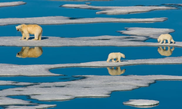 The scale of warming in the ocean is ‘truly staggering’, the report warns.