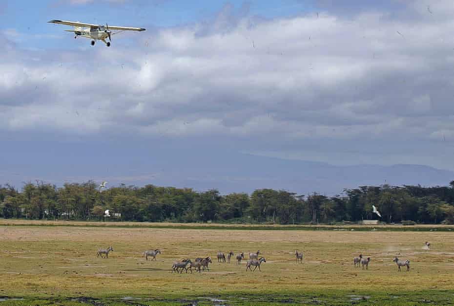 Aircraft flies over a herd of zebra at Amboseli National Park, Kenya