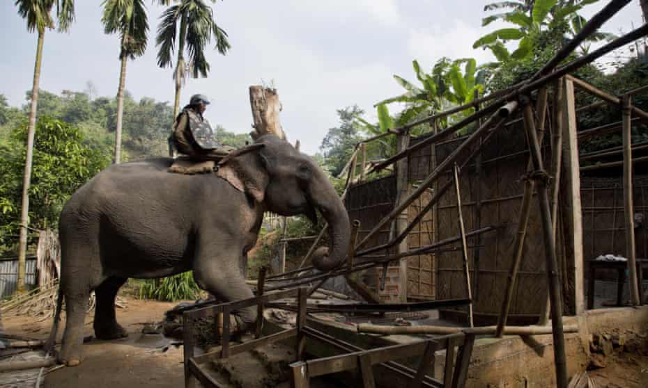 An elephant is used to demolish a house during an eviction drive inside Amchang wildlife sanctuary on the outskirts of Gauhati, Assam.