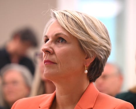 Social services department warned Tanya Plibersek she faces uphill battle amid 'political polarisation' | Welfare | The Guardian