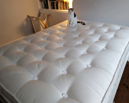 A cat sits on a Woolroom Standen Wool mattress