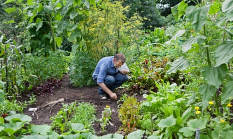 Encounters with nature … Allan Jenkins at his allotment.