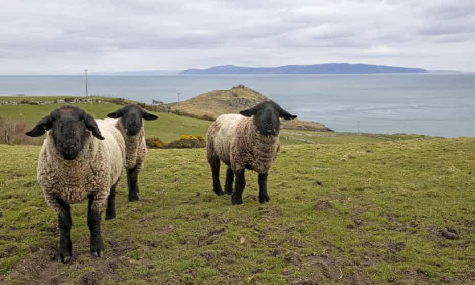 The view from Torr Head in Antrim to Scotland’s Mull of Kintyre is no longer to be interrupted by a £335bn Boris Bridge.