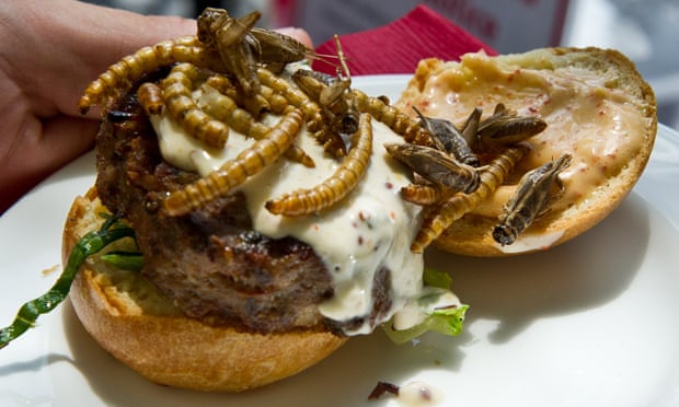 A cheeseburger with dried edible insects as a topping