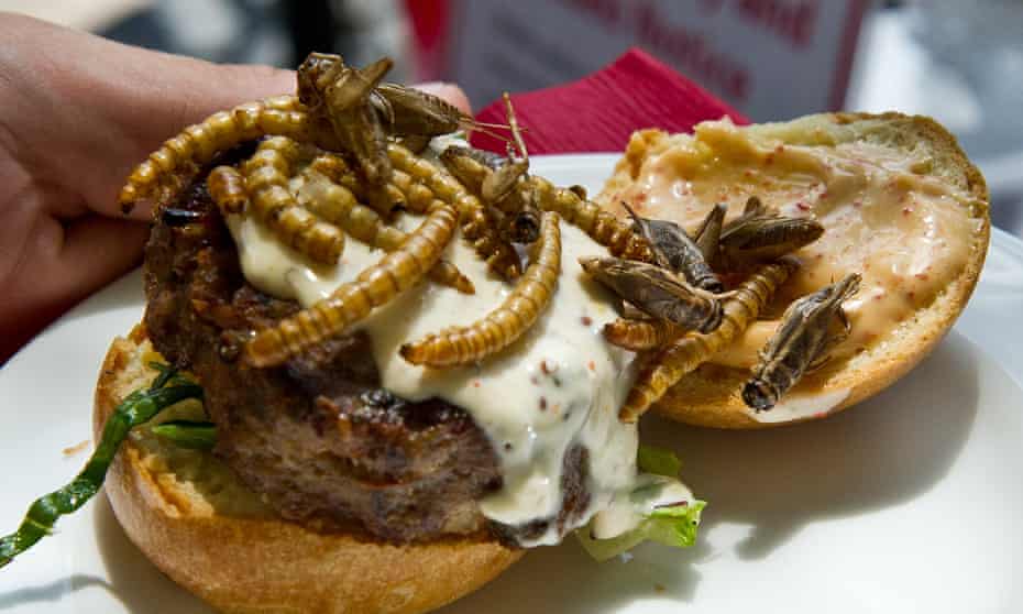 A grasshopper burger topped with dried grasshoppers