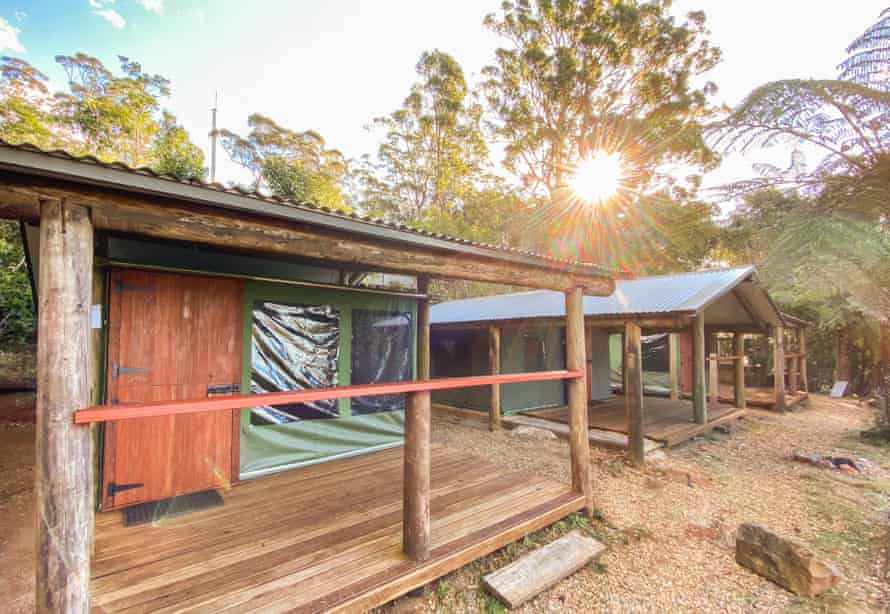 The Safari Tents astatine Binna Burra Lodge