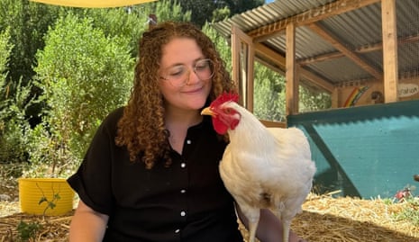 theguardian.com - Guardian staff reporter - She took chickens that were going to die in a factory farm. Was it a rescue or a crime?