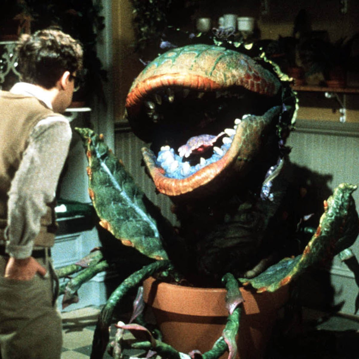 Little Shop Of Horrors Musical To Be Remade By Warner Bros Film The Guardian