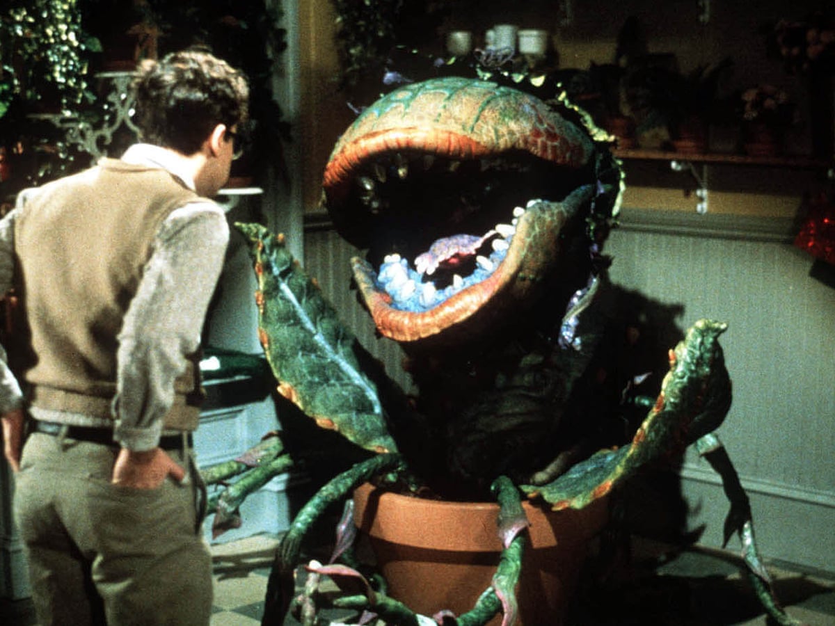 Little Shop Of Horrors Musical To Be Remade By Warner Bros Film The Guardian