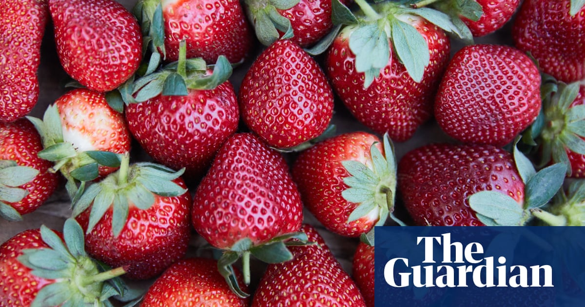 Strawberry Crisis Eight Easy Ways To Use Up Your Excess Fruit Food The Guardian