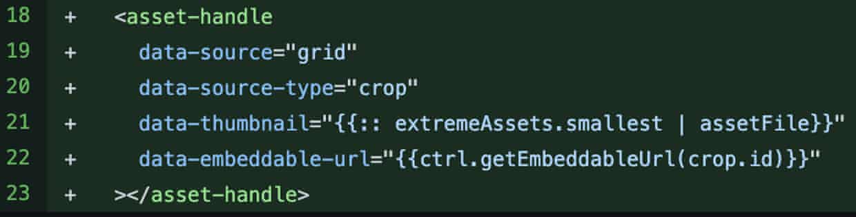 Code snippet from the Grid. Template code showing the data attributes containing details of the image/crop.