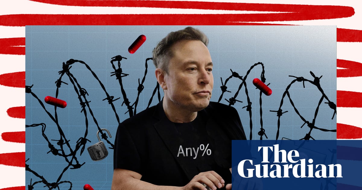 Six great reads: Doge explained, ‘alpine divorce’ and the secret lives of body doubles