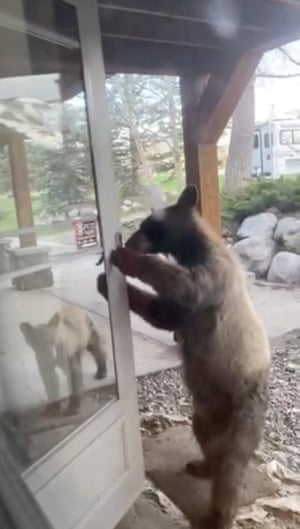 A still from a video of a bear using the door handle to open the front door of a home in Steamboat Springs, Colorado, US