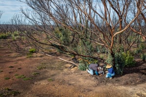 Heidi Groffen and Pat Hodgens from Land for Wildlife in a dunnart habitat. The Kangaroo Island dunnart lost 95% of its habitat to the black summer fires.