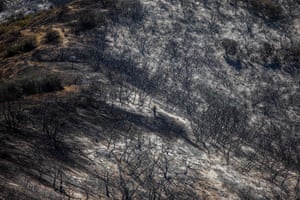 A firefighter works in a burned canyon behind homes destroyed by the Coastal Fire in Laguna Niguel.