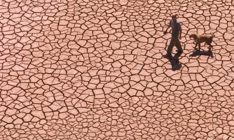 A man walks with a dog along a dry cracked reservoir bed during a drought period in Alcora, eastern Spain