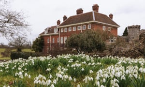 Snowdrops at Benington Lordship Gardens, Hertfordshire (Galanthus), UK.