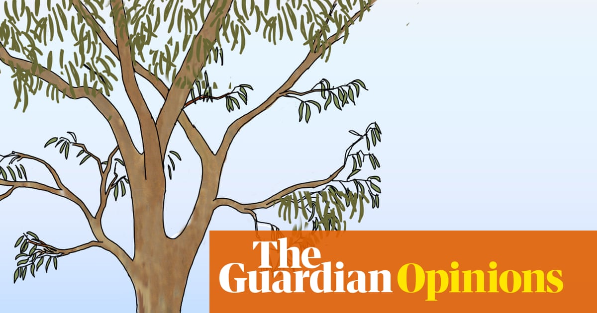 Welcome to Australia, where you can have a wealthy private school or koala habitat but not both | First Dog on the Moon