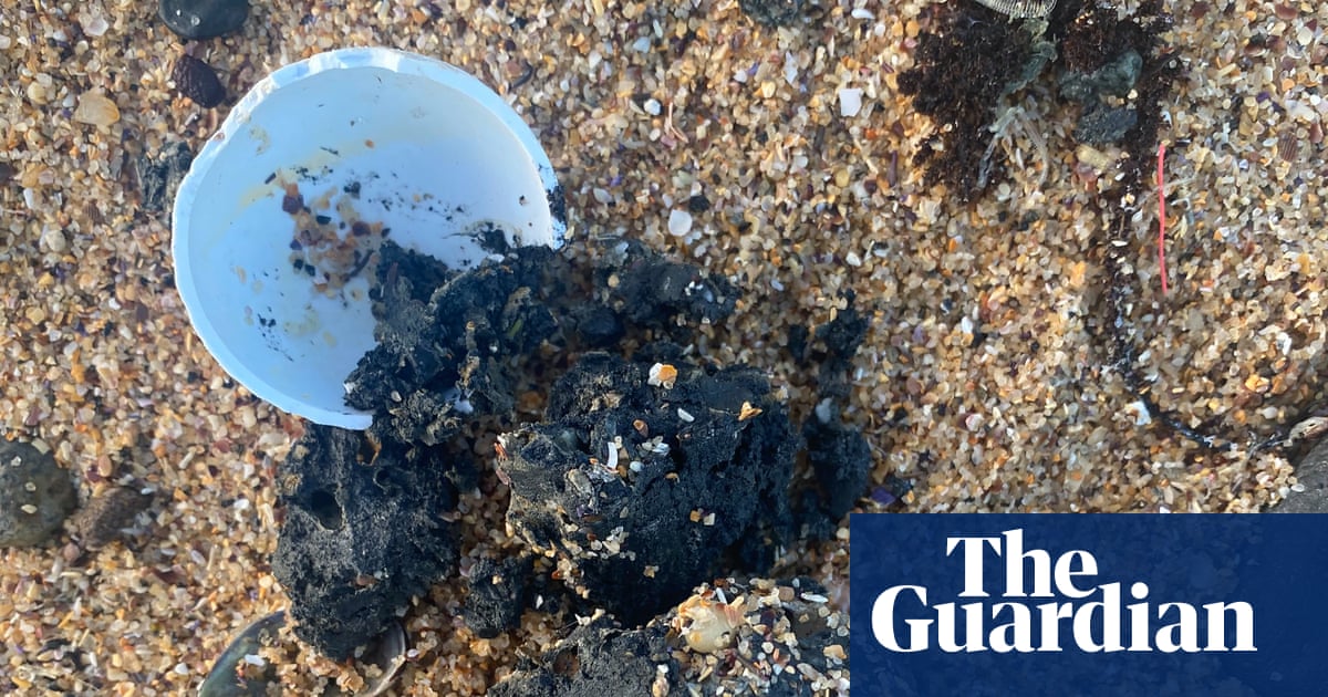New poo balls on Sydney beaches after revelation of huge fatberg stuck in treatment plant