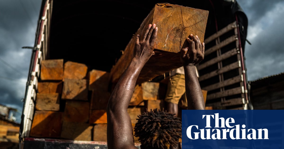 Blood timber': western firms fuel conflict and slavery' in Colombia