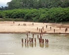 Uncontacted Peruvian tribe on deadly collision course with loggers, group says