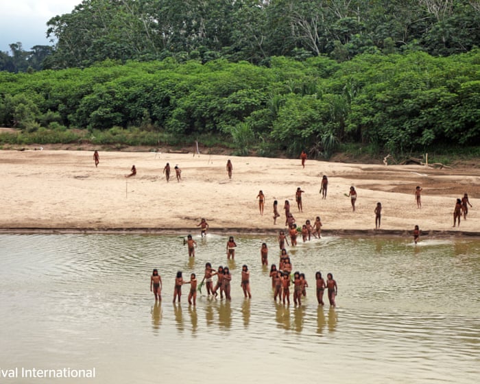 Uncontacted Peruvian tribe on deadly collision course with loggers, group says