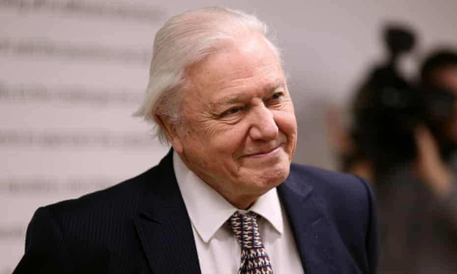 Sir David Attenborough is to present the BBC’s Planet Earth 2.