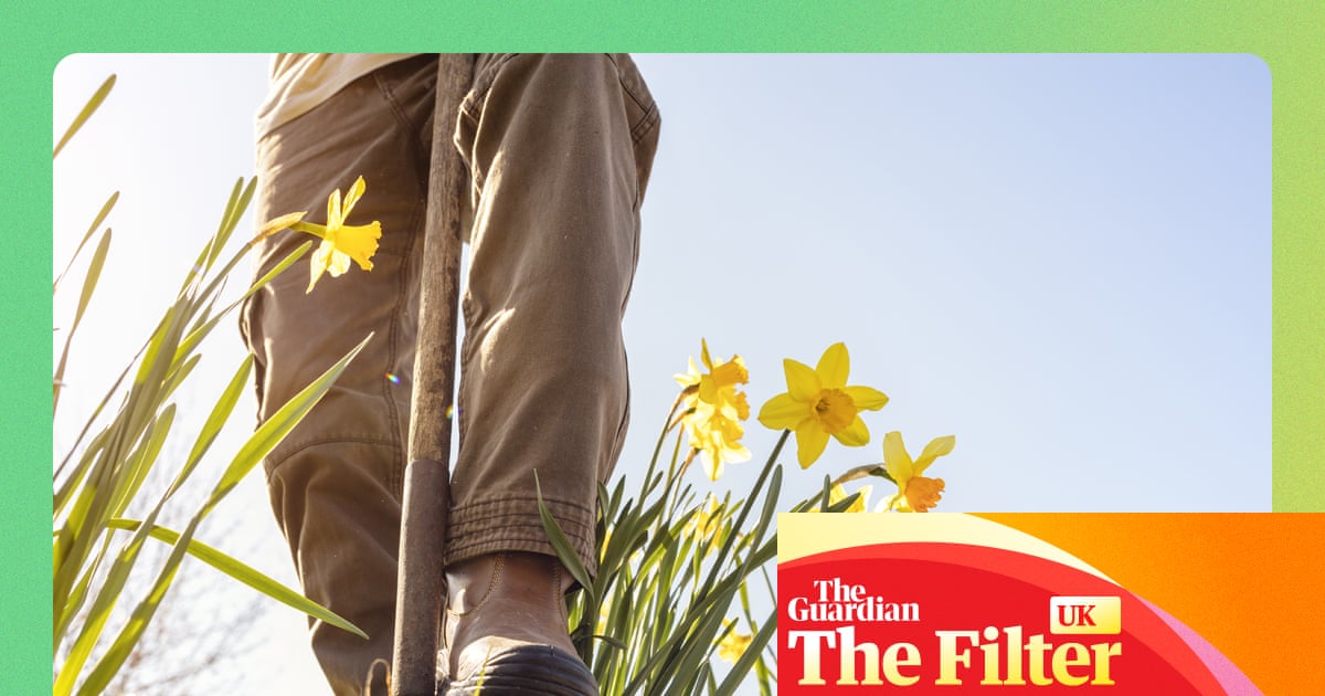 Ready, set, grow! How to refresh your garden for spring